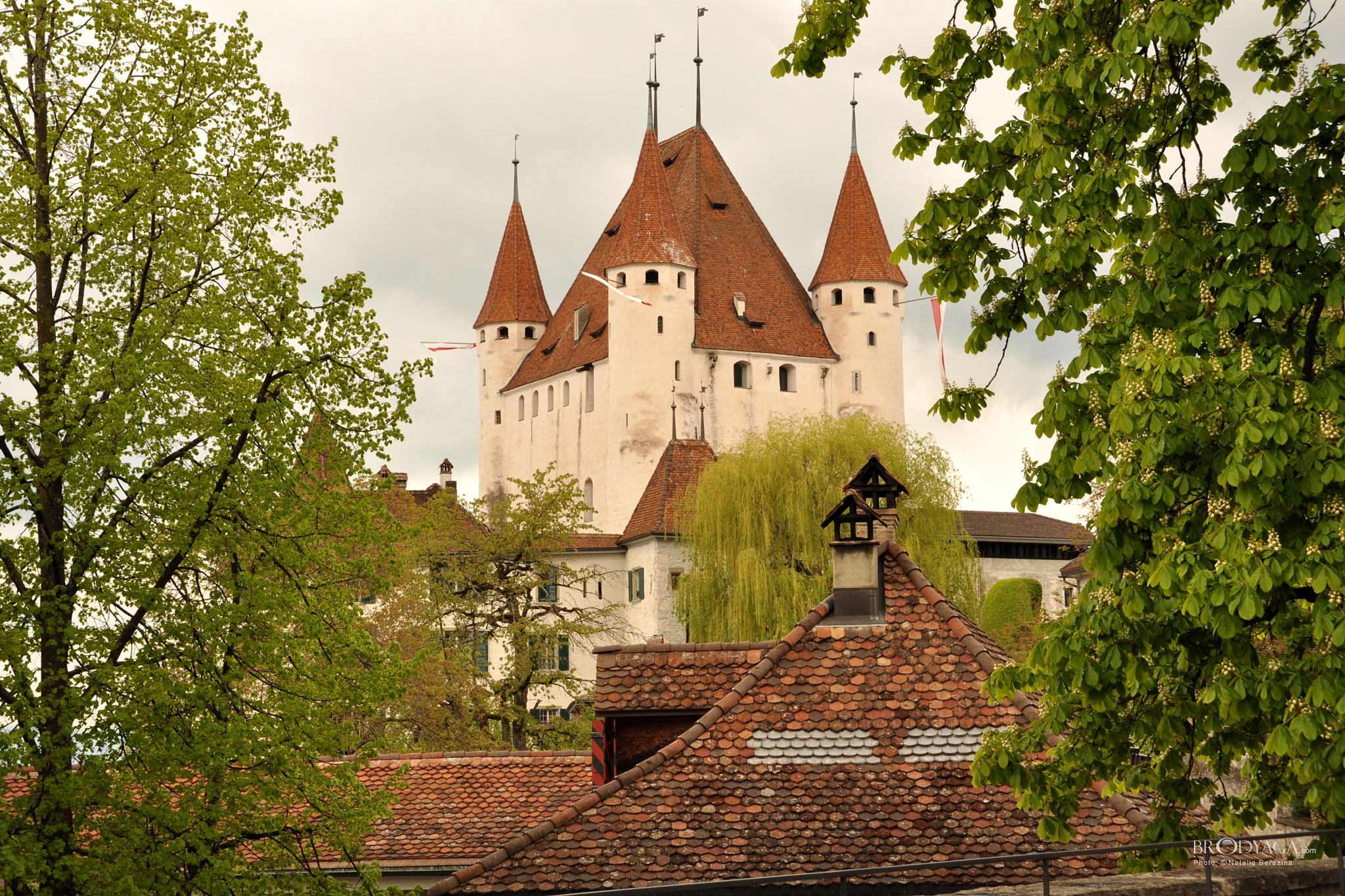 Thun Castle